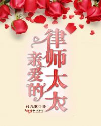 亲爱的律师太太